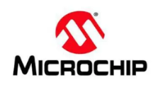Micochip